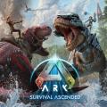  Box Art