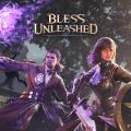 Bless Unleashed Box Art