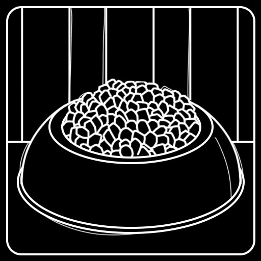 Valkyrie's Dish