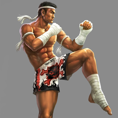 NIKULIN-NINJA PSN Avatar